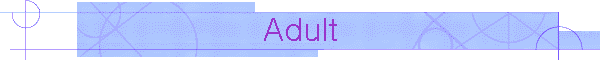 Adult